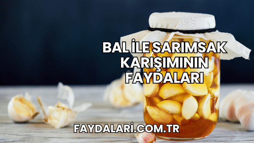 Bal ile Sarımsak Karışımının Faydaları