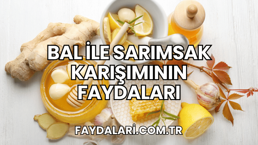 Bal ile Sarımsak Karışımının Faydaları