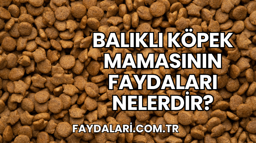 Balıklı Köpek Mamasının Faydaları Nelerdir?