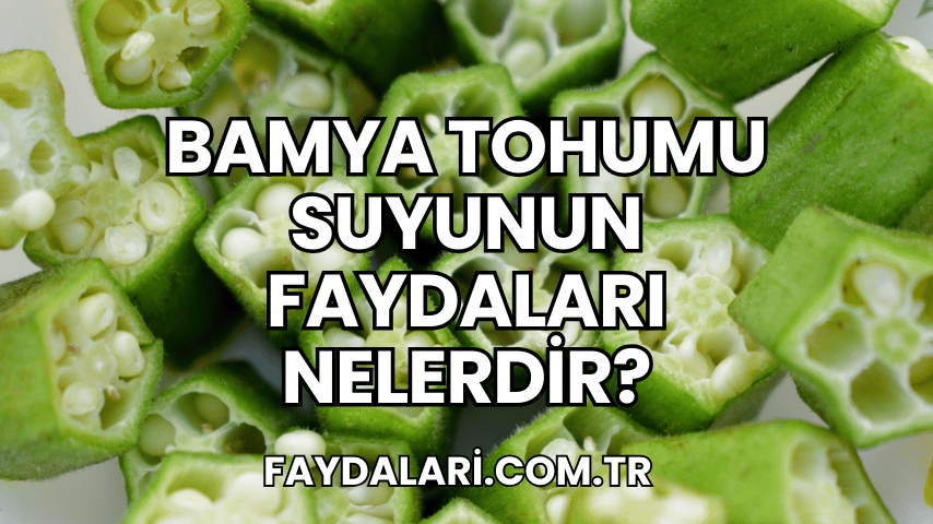 Bamya Tohumu Suyunun Faydaları Nelerdir?