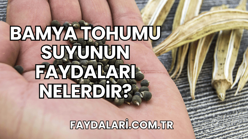 Bamya Tohumu Suyunun Faydaları Nelerdir?