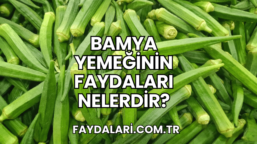 Bamya Yemeğinin Faydaları Nelerdir?