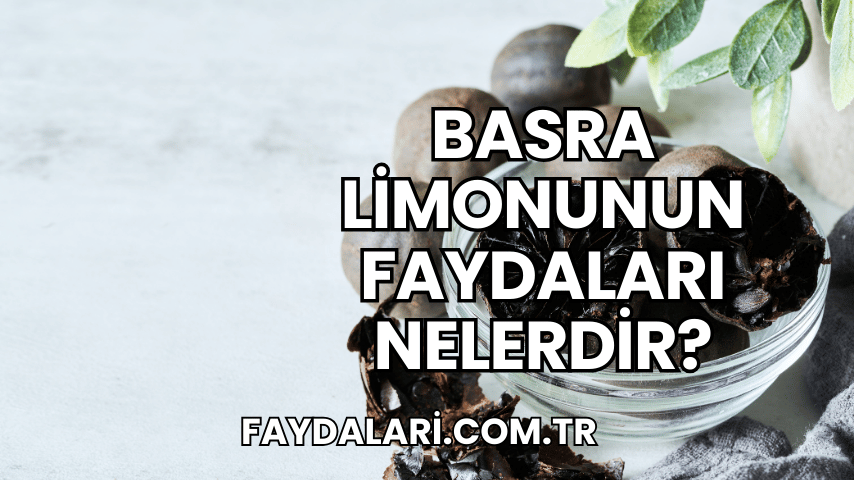 Basra Limonunun Faydaları Nelerdir?