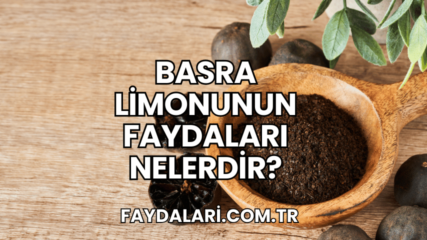 Basra Limonunun Faydaları Nelerdir?