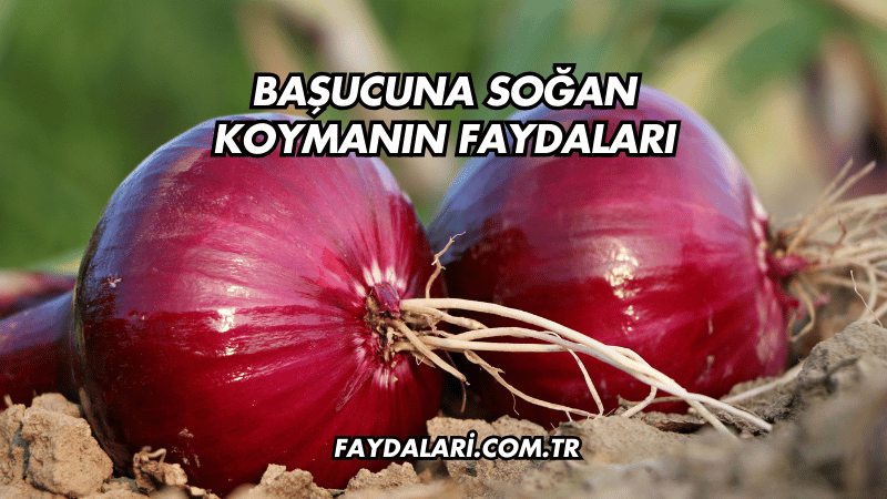 Başucuna Soğan Koymanın Faydaları