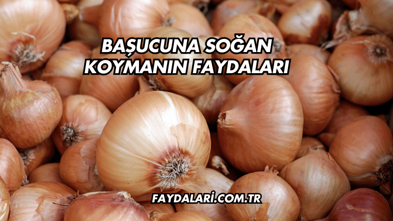 Başucuna Soğan Koymanın Faydaları