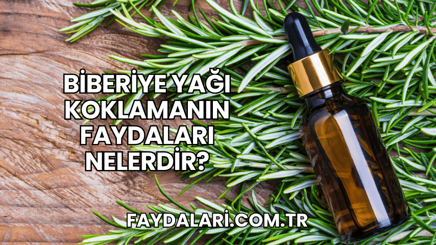 Biberiye Yağı Koklamanın Faydaları Nelerdir?