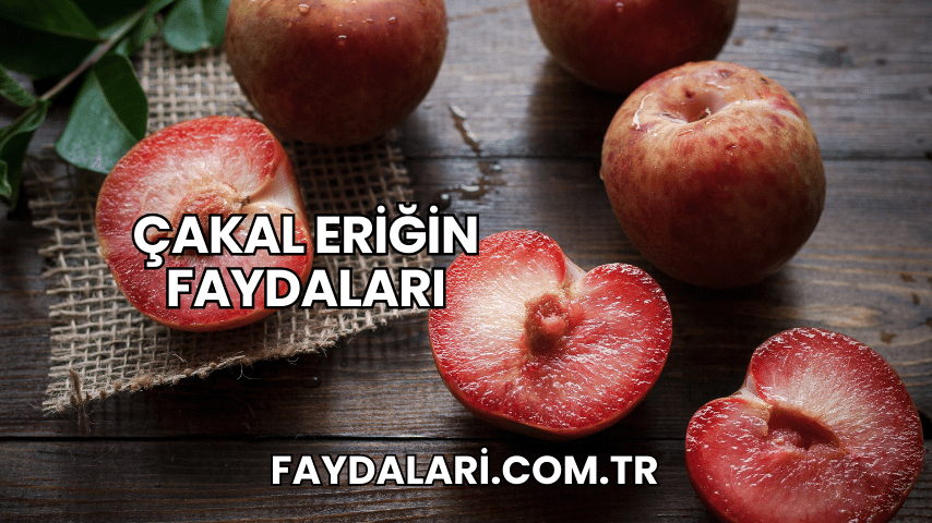 Çakal Eriğin Faydaları