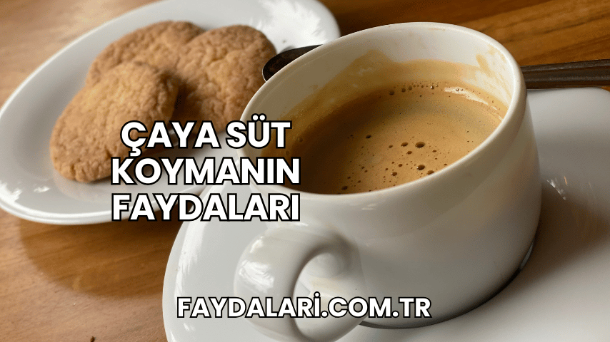 Çaya Süt Koymanın Faydaları