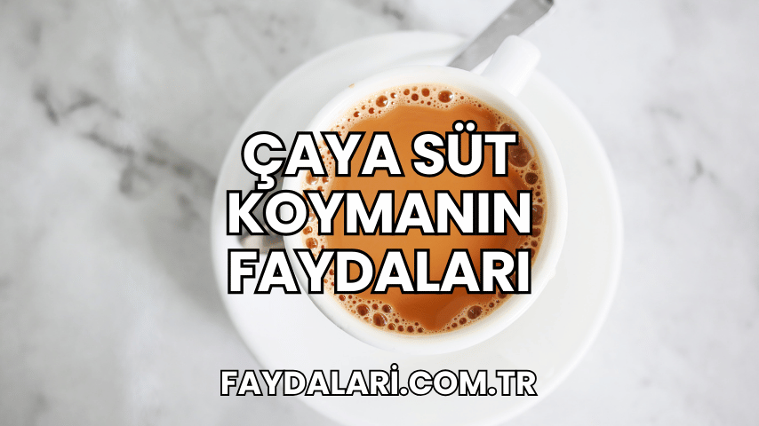 Çaya Süt Koymanın Faydaları