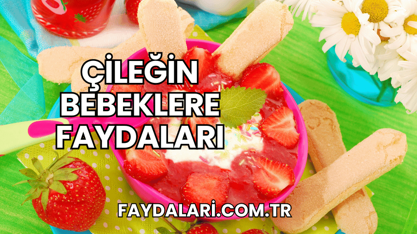 Çileğin Bebeklere Faydaları