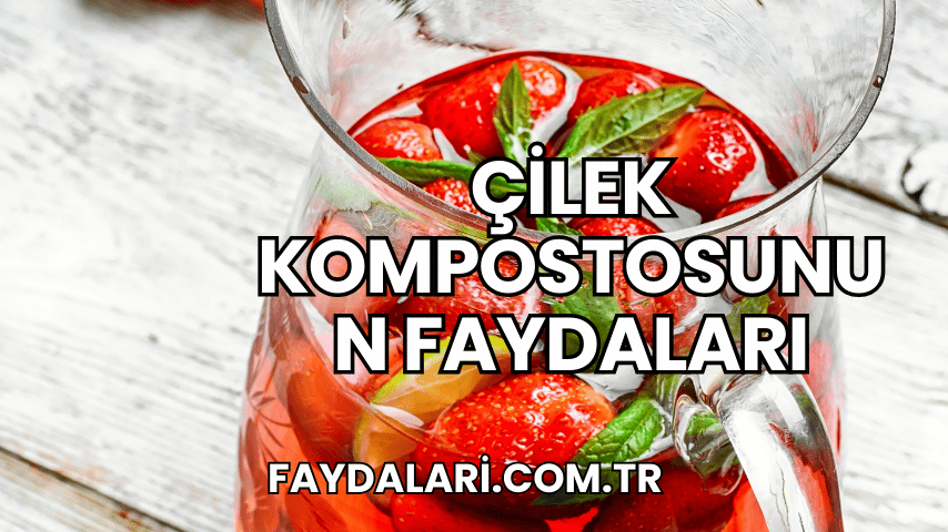 Çilek Kompostosunun Faydaları