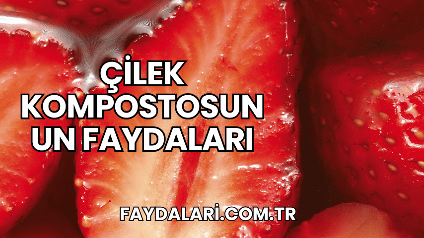 Çilek Kompostosunun Faydaları