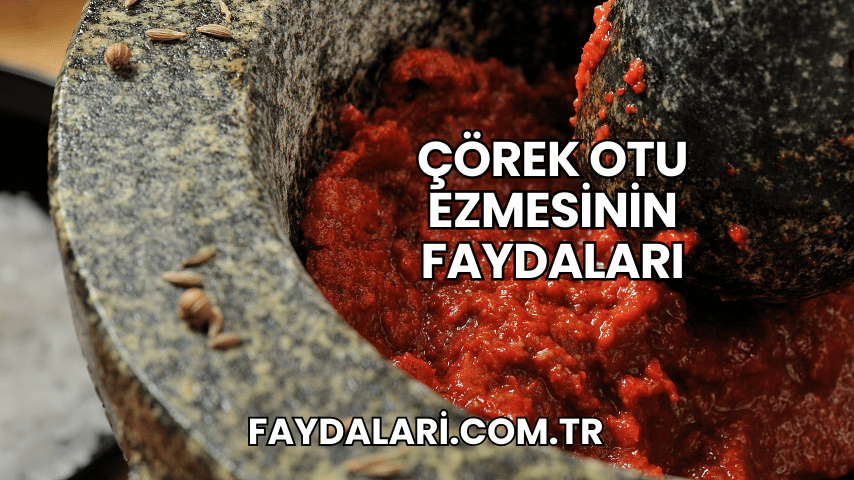 Çörek Otu Ezmesinin Faydaları