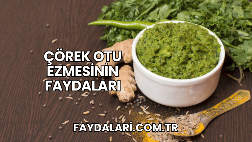 Çörek Otu Ezmesinin Faydaları