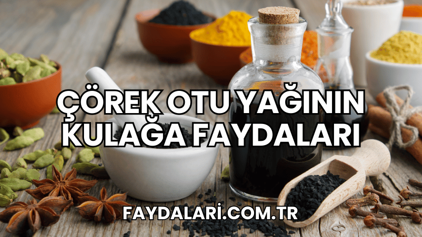 Çörek Otu Yağının Kulağa Faydaları