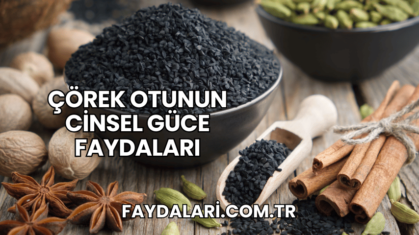 Çörek Otunun Cinsel Güce Faydaları