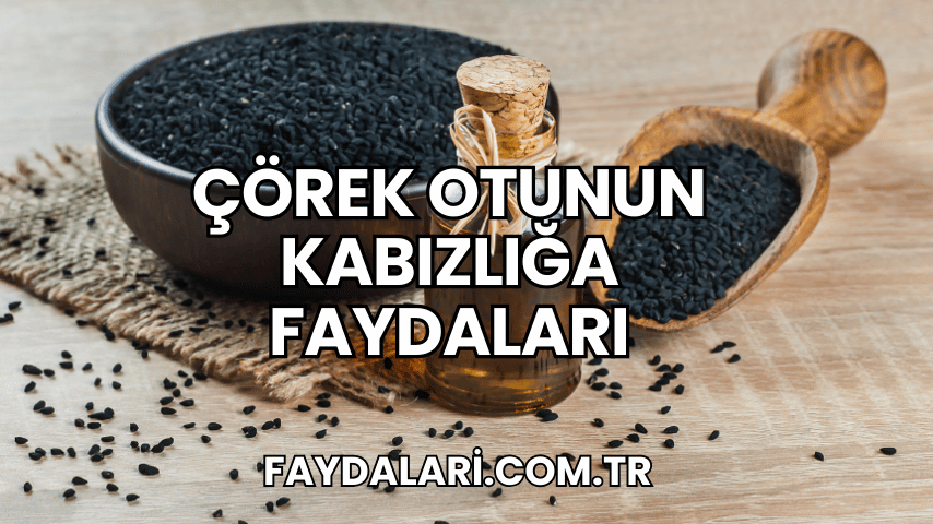 Çörek Otunun Kabızlığa Faydaları