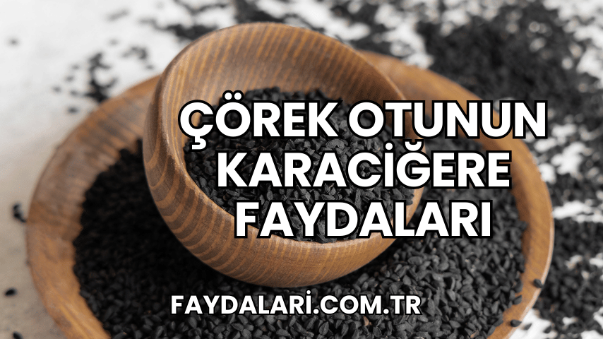 Çörek Otunun Karaciğere Faydaları