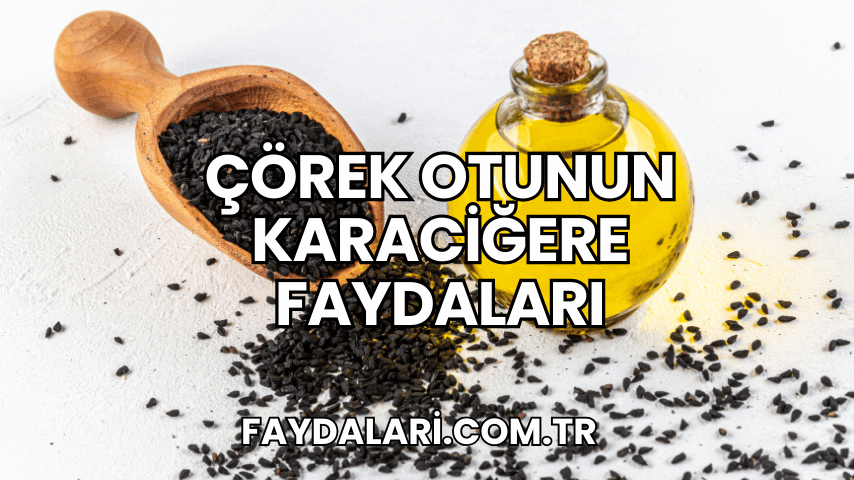 Çörek Otunun Karaciğere Faydaları