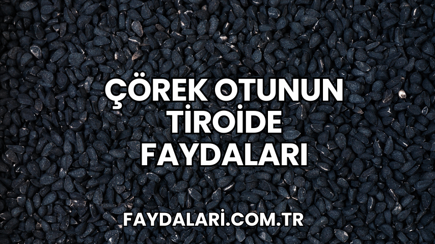 Çörek Otunun Tiroide Faydaları