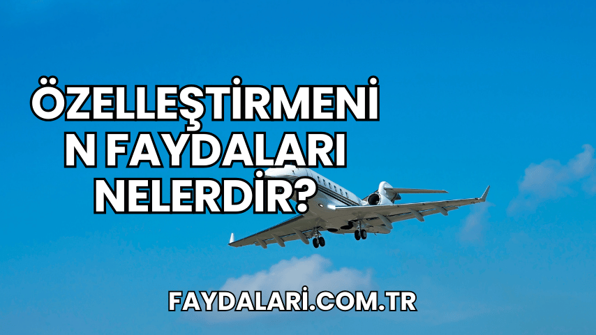 Özelleştirmenin Faydaları Nelerdir?