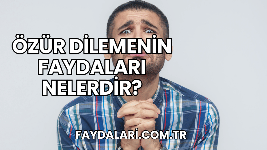 Özür Dilemenin Faydaları Nelerdir?