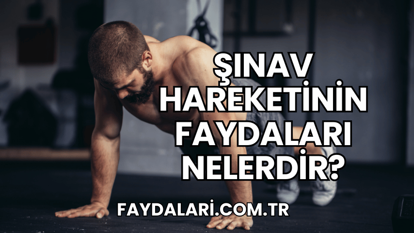 Şınav Hareketinin Faydaları Nelerdir?