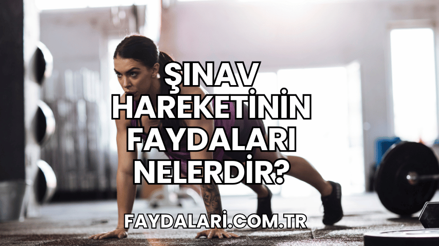 Şınav Hareketinin Faydaları Nelerdir?