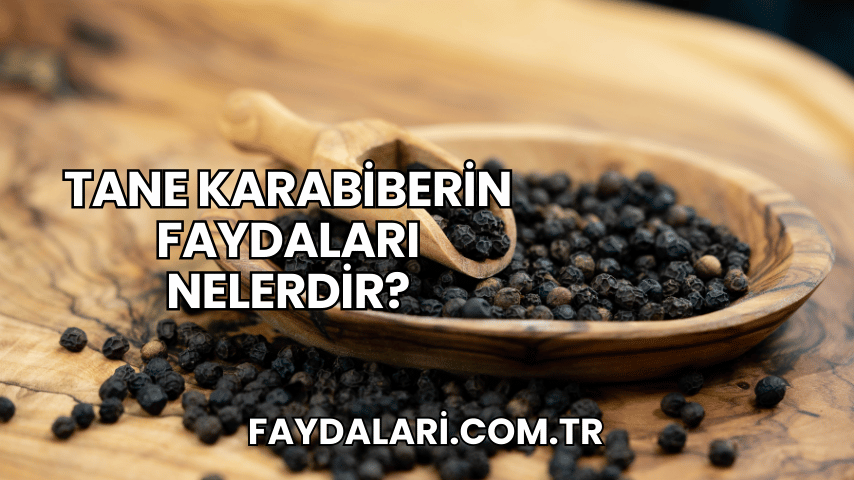 Tane Karabiberin Faydaları Nelerdir?