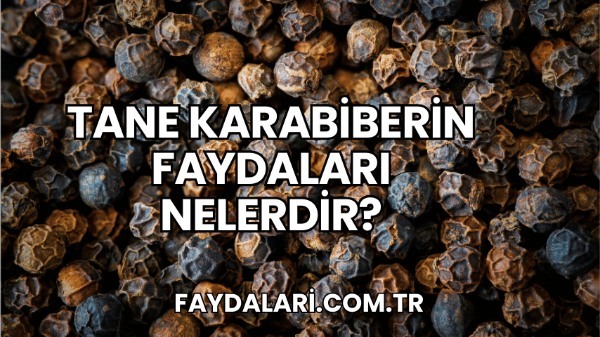 Tane Karabiberin Faydaları Nelerdir?