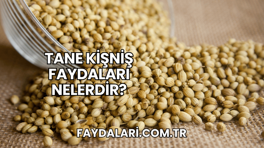 Tane Kişniş Faydaları Nelerdir?