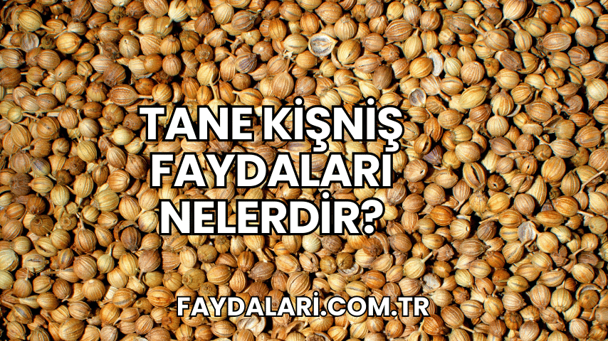 Tane Kişniş Faydaları Nelerdir?