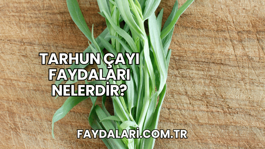 Tarhun Çayı Faydaları Nelerdir?