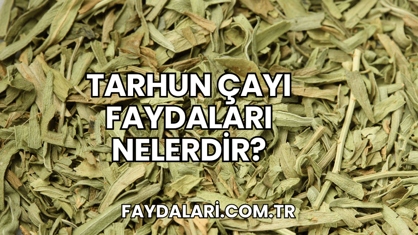 Tarhun Çayı Faydaları Nelerdir?