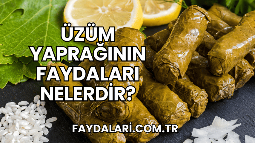 Üzüm Yaprağının Faydaları Nelerdir?