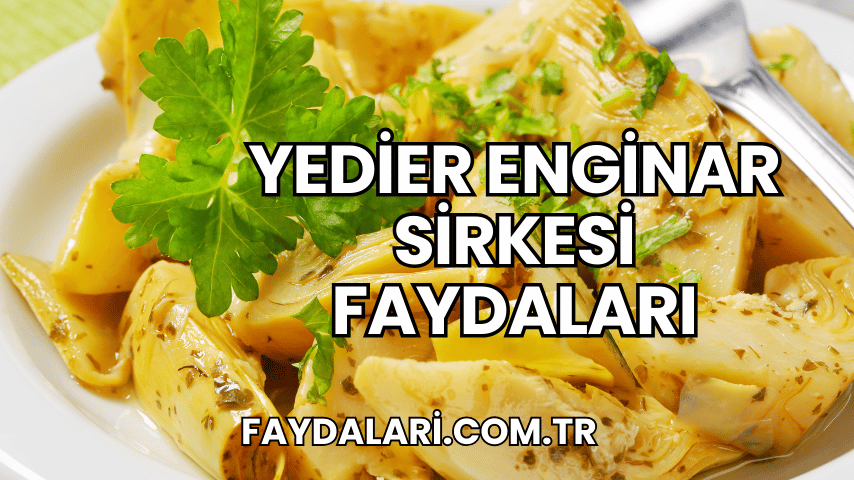 Yedier Enginar Sirkesi Faydaları