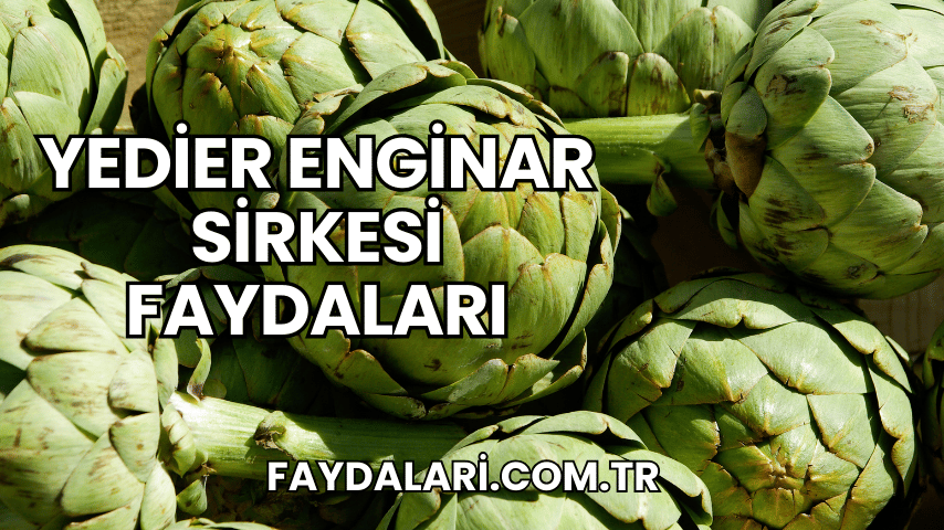 Yedier Enginar Sirkesi Faydaları