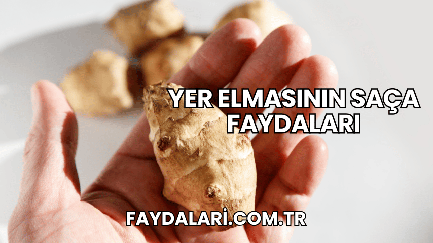 Yer Elmasının Saça Faydaları