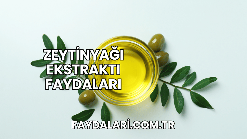 Zeytinyağı Ekstraktı Faydaları