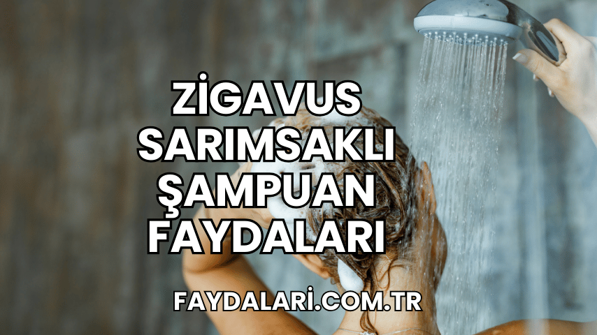 Zigavus Sarımsaklı Şampuan Faydaları