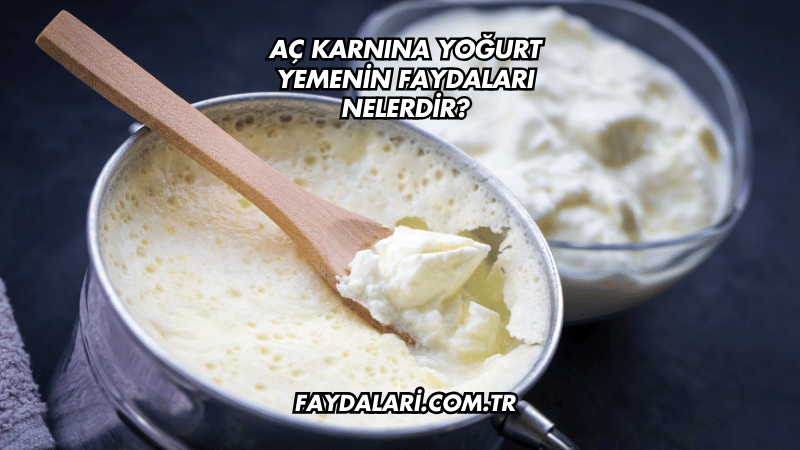 Aç Karnına Yoğurt Yemenin Faydaları Nelerdir?