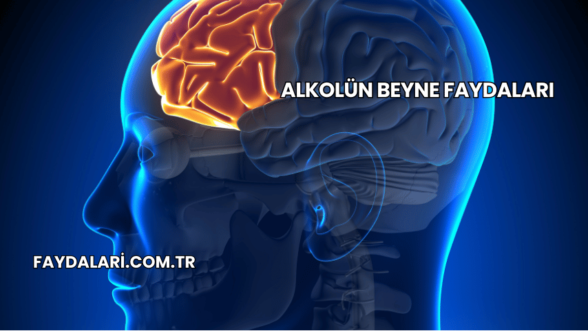 Alkolün Beyne Faydaları