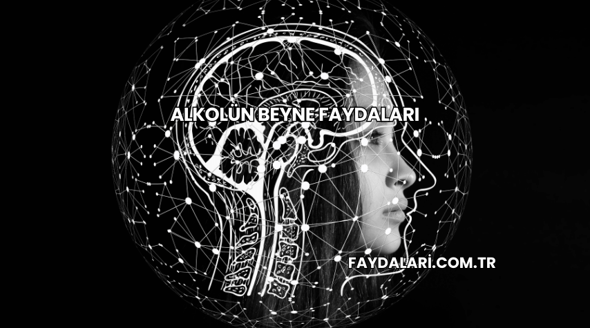 Alkolün Beyne Faydaları