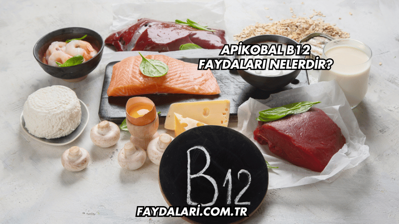 Apikobal B12 Faydaları Nelerdir?