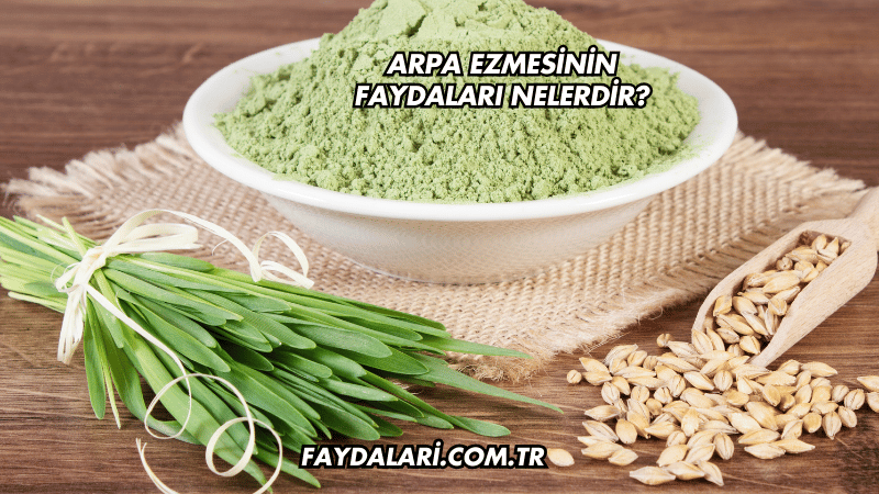 Arpa Ezmesinin Faydaları Nelerdir?