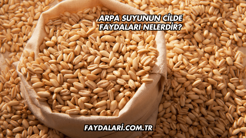 Arpa Suyunun Cilde Faydaları Nelerdir?